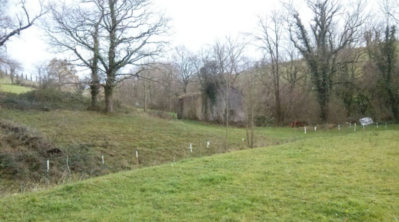Cantabria - Solórzano - 7500m2
