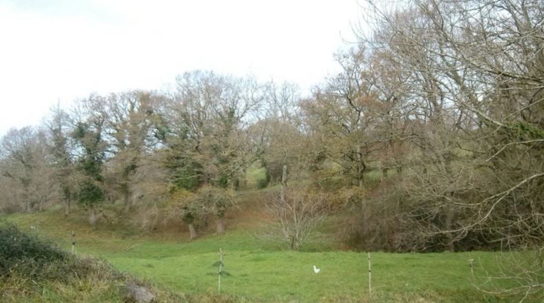 Cantabria - Solórzano - 7500m2
