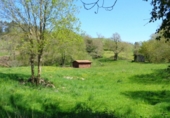 Finca rústica en venda a la España, Solórzano, ref.: TR17883 foto