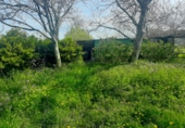 Sòl urbà en venda a la España, Bárcena de Cicero, ref.: TR73765 foto