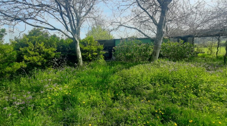 Cantabria - Bárcena de Cicero - 3800m2