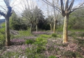 Sòl urbà en venda a la España, Bárcena de Cicero, ref.: TR73765 foto