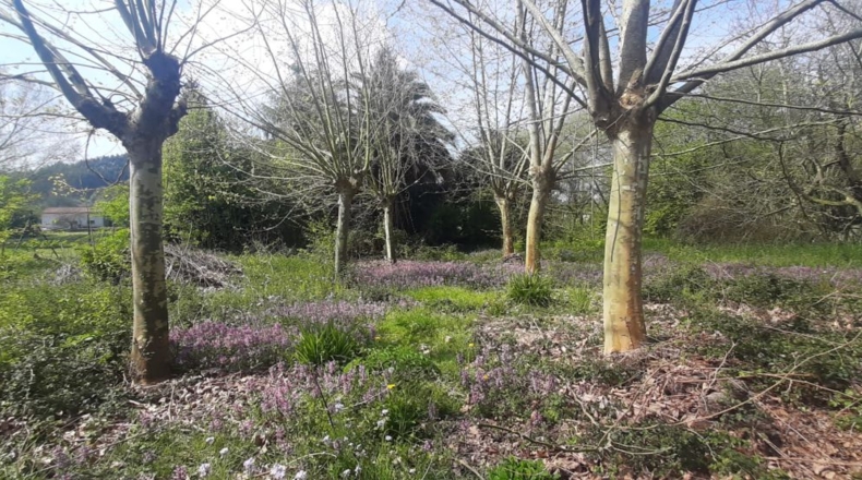 Cantabria - Bárcena de Cicero - 3800m2