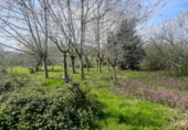 Sòl urbà en venda a la España, Bárcena de Cicero, ref.: TR73765 foto