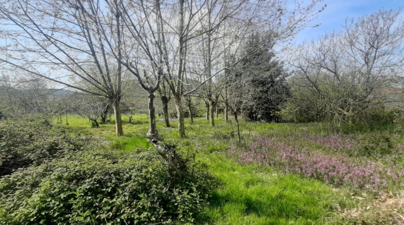 Cantabria - Bárcena de Cicero - 3800m2
