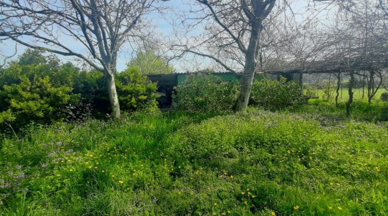 Cantabria - Bárcena de Cicero - 3800m2