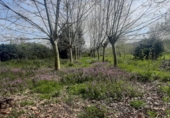 Sòl urbà en venda a la España, Bárcena de Cicero, ref.: TR73765 foto