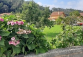 Urban land for sale on España, Cicero, ref: TR252930 photo