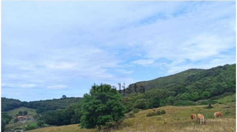 Cantàbria - Santoña - 24007m2