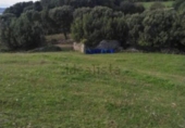 Non-developable land for sale in Santoña ref: TR180947 photo