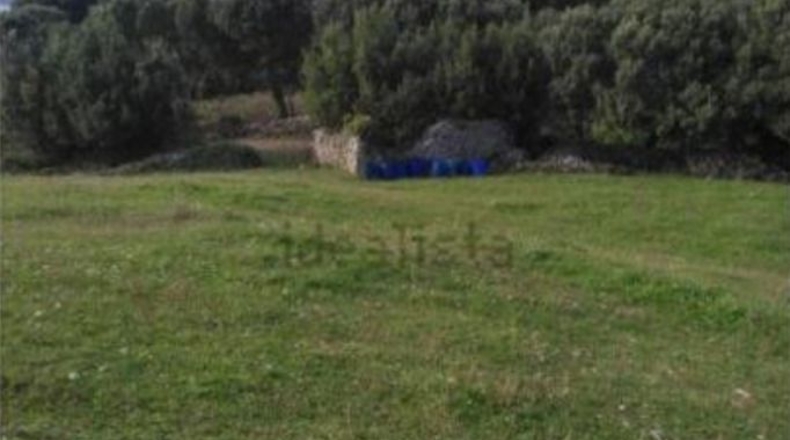 Cantàbria - Santoña - 24007m2