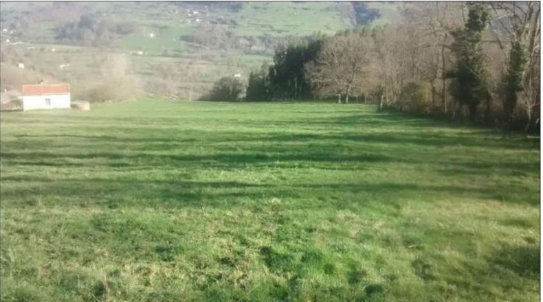 Cantabria - Villegar - 30000m2