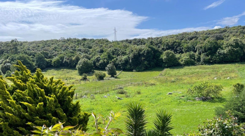 Cantabria - Arnuero - 7160m2