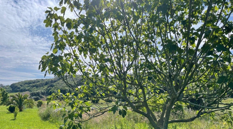 Cantabria - Arnuero - 7160m2