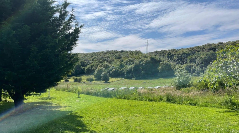 Cantabria - Arnuero - 7160m2