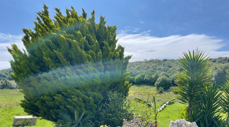 Cantabria - Arnuero - 7160m2