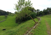 Finca rústica en venda a la España, Santoña, ref.: TR342305 foto