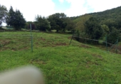 Finca rústica en venda a la España, Santoña, ref.: TR342305 foto