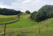 Finca rústica en venda a la España, Santoña, ref.: TR342305 foto