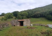 Finca rústica en venda a la España, Santoña, ref.: TR342305 foto