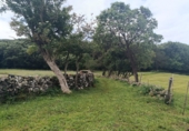 Finca rústica en venda a la España, Santoña, ref.: TR342305 foto