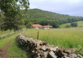 Finca rústica en venda a la España, Santoña, ref.: TR342305 foto