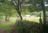 Finca rústica en venda a la España, Santoña, ref.: TR342305 foto
