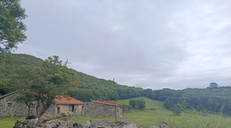 Кантабрия - Santoña - 45000m2