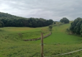 Finca rústica en venda a la España, Santoña, ref.: TR342305 foto