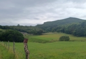 Finca rústica en venda a la España, Santoña, ref.: TR342305 foto