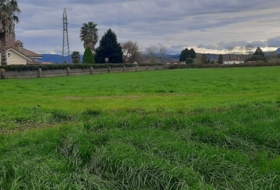 Escalante 6950&nbsp;m²