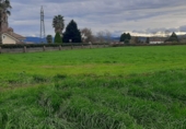 Terreno no urbanizable en venta en la España, Escalante, ref: TR372586 foto