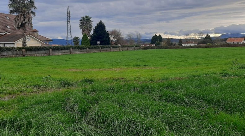 Cantabria - Escalante - 6950m2