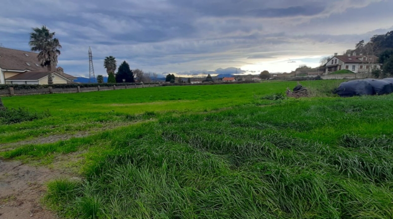 Cantabria - Escalante - 6950m2