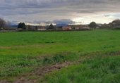 Terreno no urbanizable en venta en la España, Escalante, ref: TR372586 foto