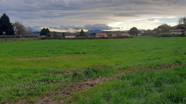 Cantabria - Escalante - 6950m2