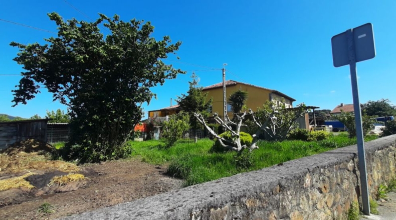 Cantabria - Bárcena de Cicero - 19400m2