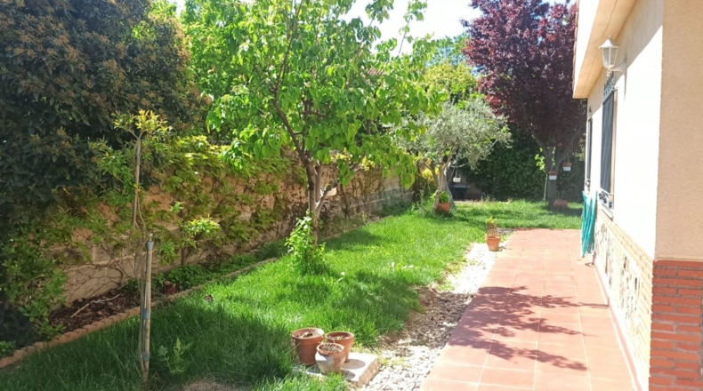 Toledo - Novés - 500m2