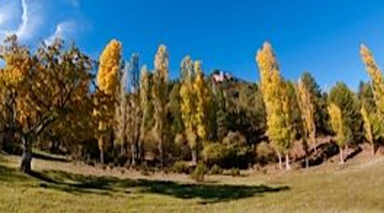 Granada - Puebla de Don Fadrique - 671000m2