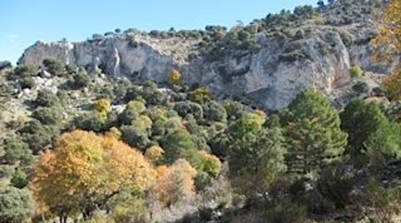 Granada - Puebla de Don Fadrique - 671000m2