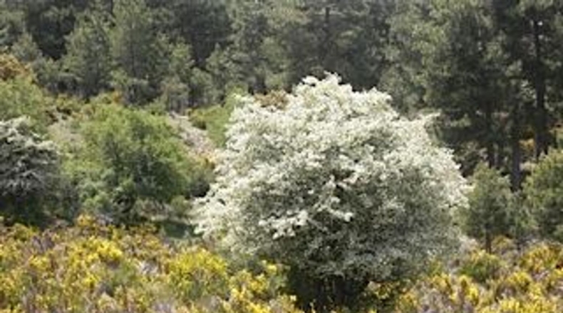 Granada - Puebla de Don Fadrique - 671000m2
