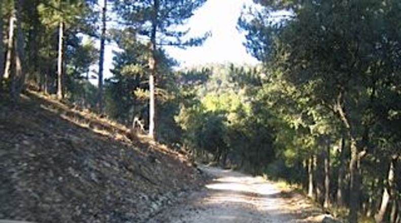 Granada - Puebla de Don Fadrique - 671000m2