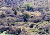 Finca rústica en venda a Puebla de Don Fadrique ref.: TR50233 foto