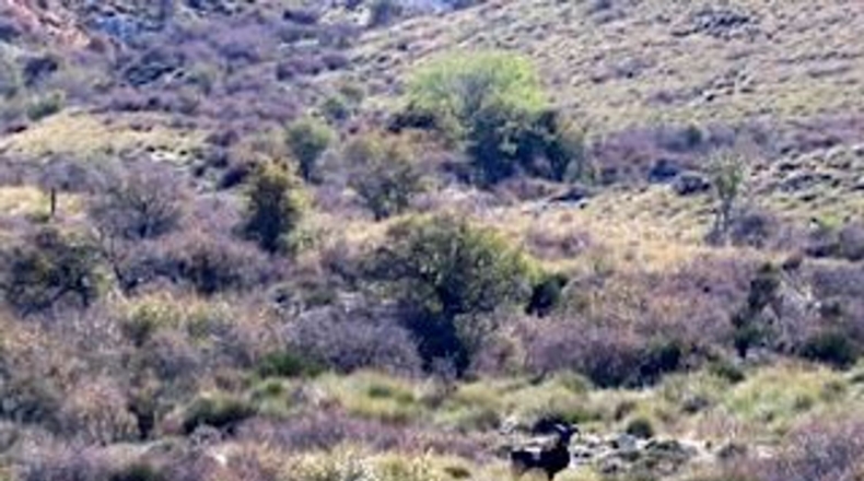 Granada - Puebla de Don Fadrique - 671000m2