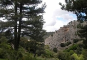 Finca rústica en venda a Puebla de Don Fadrique ref.: TR50233 foto