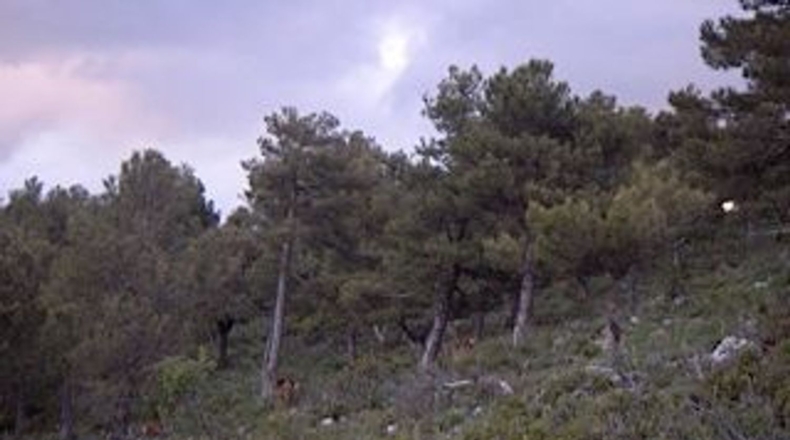 Granada - Puebla de Don Fadrique - 671000m2