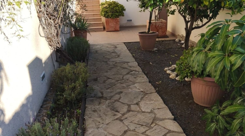 Malaga - Málaga - 800m2
