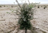 Finca rústica en venta en la España, Almenara de Adaja, ref: TR327332 foto