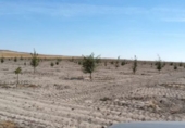 Finca rústica en venta en la España, Almenara de Adaja, ref: TR327332 foto