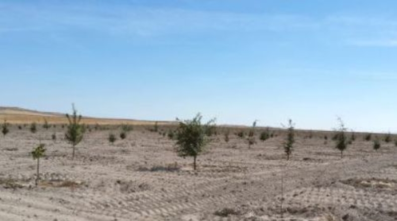 Valladolid - Almenara de Adaja - 250000m2